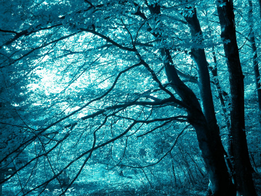 43868 (a): :1600x1200